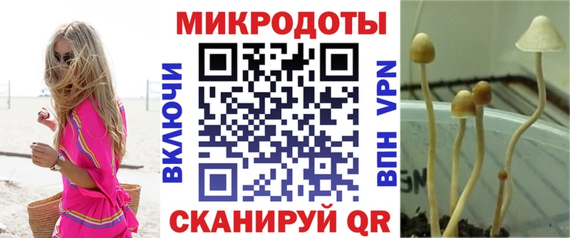 Псилоцибиновые грибы прущие грибы  где купить наркотик  Чишмы 